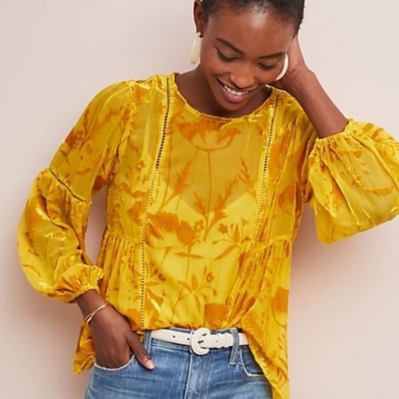 Anthropologie Tops - Anthropologie Meadow Rue Sheer Velvet Floral Blouse